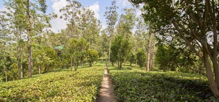 Hotel Dream Catcher Plantation resorts (Munnar)