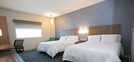 Holiday Inn Express & Suites MEXICALI (Mexicali)