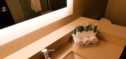 Holiday Inn Express & Suites PLYMOUTH - ANN ARBOR AREA (Plymouth)