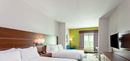 Holiday Inn Express & Suites HOUSTON S - MEDICAL CTR AREA (Houston)