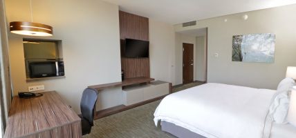 Holiday Inn Express & Suites MONTERREY VALLE (Monterrey)
