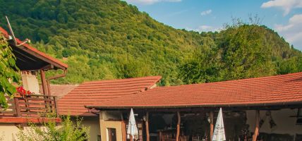 Hotel Transylvania Casa Dives (Pianu de Sus)