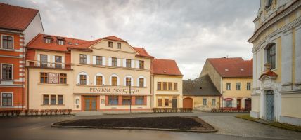 Hotel Penzion Panský dům (Rožmitál pod Třemšínem)
