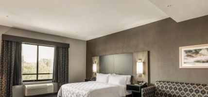 Holiday Inn & Suites SILICON VALLEY - MILPITAS (Milpitas)