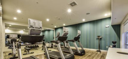 Holiday Inn Express & Suites DALLAS NW - FARMERS BRANCH (Farmers Branch)