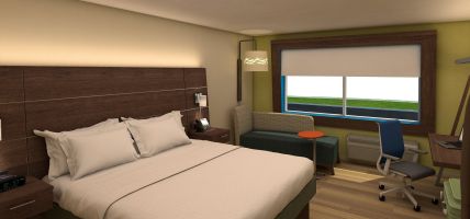 Holiday Inn Express & Suites BRASELTON WEST (Braselton)