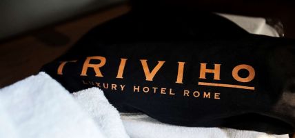 Hotel TriviHo (Rom)