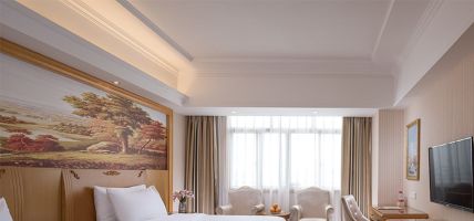 Hunan) Vienna Hotel (Qidong New District Qidong New Area (Hengyang)