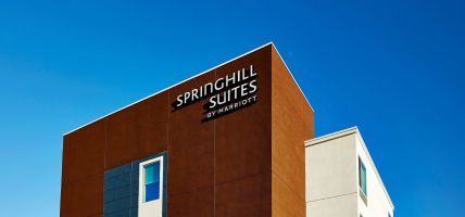 Hotel SpringHill Suites by Marriott Springfield North