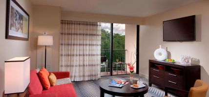 Hotel Courtyard by Marriott Fort Lauderdale East/Lauderdale-by-the-Sea