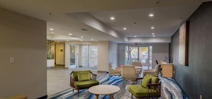 Fairfield Inn and Suites by Marriott Dallas Las Colinas (Irving)