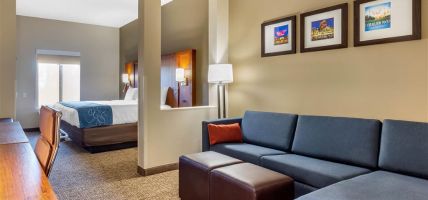 Hotel Comfort Suites Greensboro-High Point (Sedgefield)