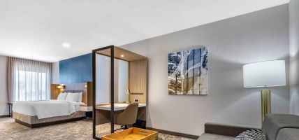 Hotel SpringHill Suites by Marriott Anaheim Placentia Fullerton