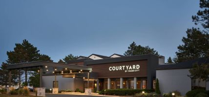 Hotel Courtyard by Marriott Chicago Wood Dale/Itasca