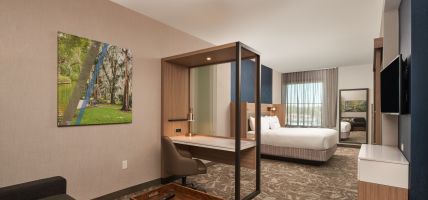 Hotel SpringHill Suites by Marriott Winter Park