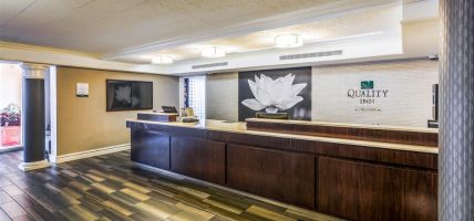 Quality Inn and Suites North Charleston - Ashley Phosphate