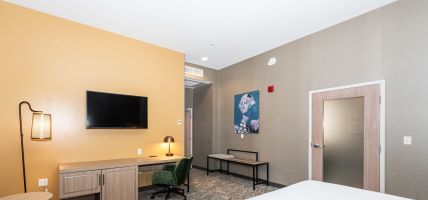 Hotel SpringHill Suites by Marriott Baltimore Downtown Convention Center Area