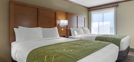 Hotel Comfort Suites West Monroe near Ike Hamilton Expo Center
