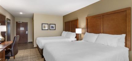 Comfort Inn and Suites Waller