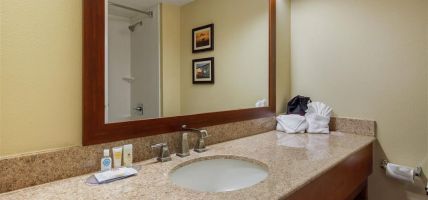 Comfort Inn and Suites (Houston)