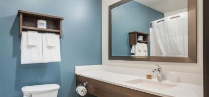 Hotel WoodSpring Suites Atlanta Newnan