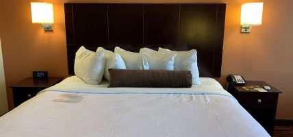 Hotel BEST WESTERN EXECUTIVE HTL NEW (West Haven)