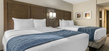 Comfort Inn and Suites Downtown-Port of Miami