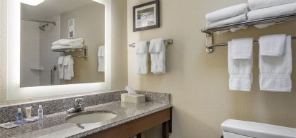Comfort Inn and Suites Airport (Little Rock)