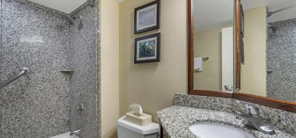 Comfort Inn and Suites St Pete - Clearwater International Airport