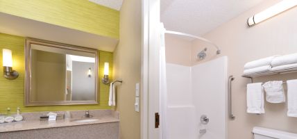 Holiday Inn Express & Suites INDIANAPOLIS W - AIRPORT AREA (Indianapolis City)