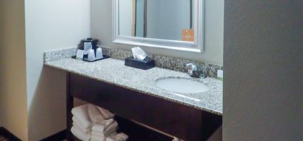 Comfort Inn and Suites BWI Airport (Brooklyn Park)