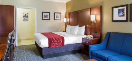 Comfort Inn and Suites San Francisco Airport North (South San Francisco)