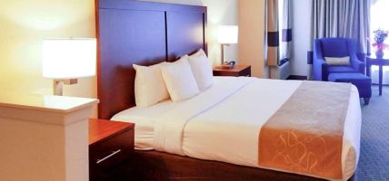 Hotel Comfort Suites Las Colinas Center (Irving)