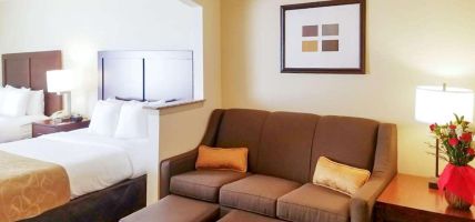 Hotel Comfort Suites Las Colinas Center (Irving)
