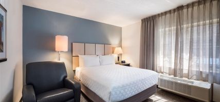 Hotel Sonesta Simply Suites Detroit Warren