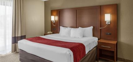 Comfort Inn and Suites (Rochelle)