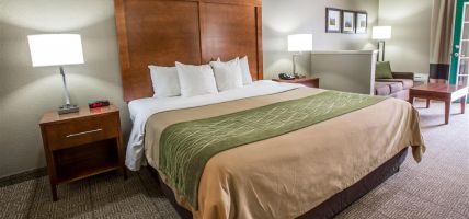 Comfort Inn and Suites at Dollywood Lane (Pigeon Forge)