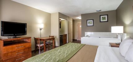 Comfort Inn and Suites at Dollywood Lane (Pigeon Forge)