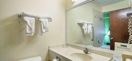 Quality Inn and Suites near I-80 and I-294 (Harvey)