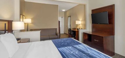 Hotel Comfort Suites Normal
