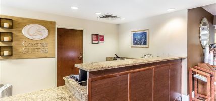 Hotel Comfort Suites Myrtle Beach