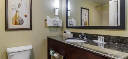 Hotel Comfort Suites Knoxville West - Farragut