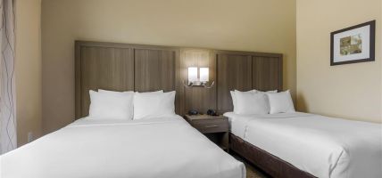 Hotel Comfort Suites DFW Airport (Irving)