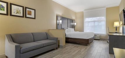 Hotel Comfort Suites Kingwood Houston North (Houston - Kingwood)