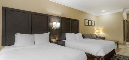 Hotel Comfort Suites Kingwood Houston North (Texas)