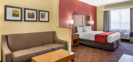 Hotel Comfort Suites - Near the Galleria (Houston)