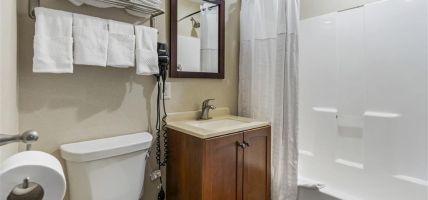 Comfort Inn and Suites (Triadelphia)