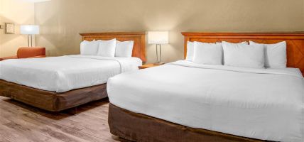 Econo Lodge Inn and Suites (Durango)
