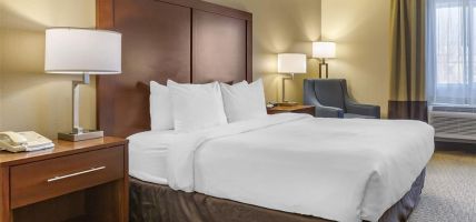 Comfort Inn and Suites (Los Alamos)