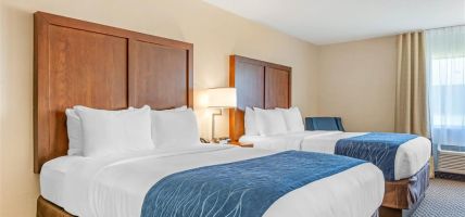 Comfort Inn and Suites near Route 66 (Lincoln)